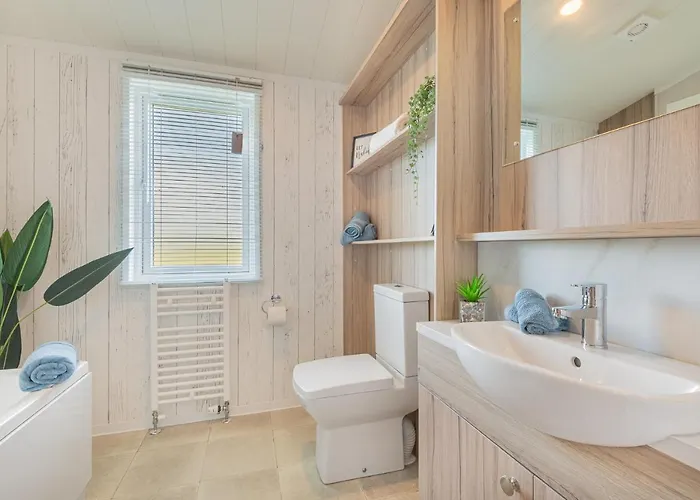 Birch Timber Bassenthwaite