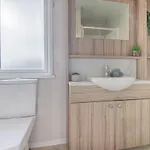 Birch Timber